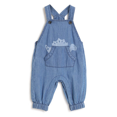 Boys Medium Blue Printed Long Dungaree